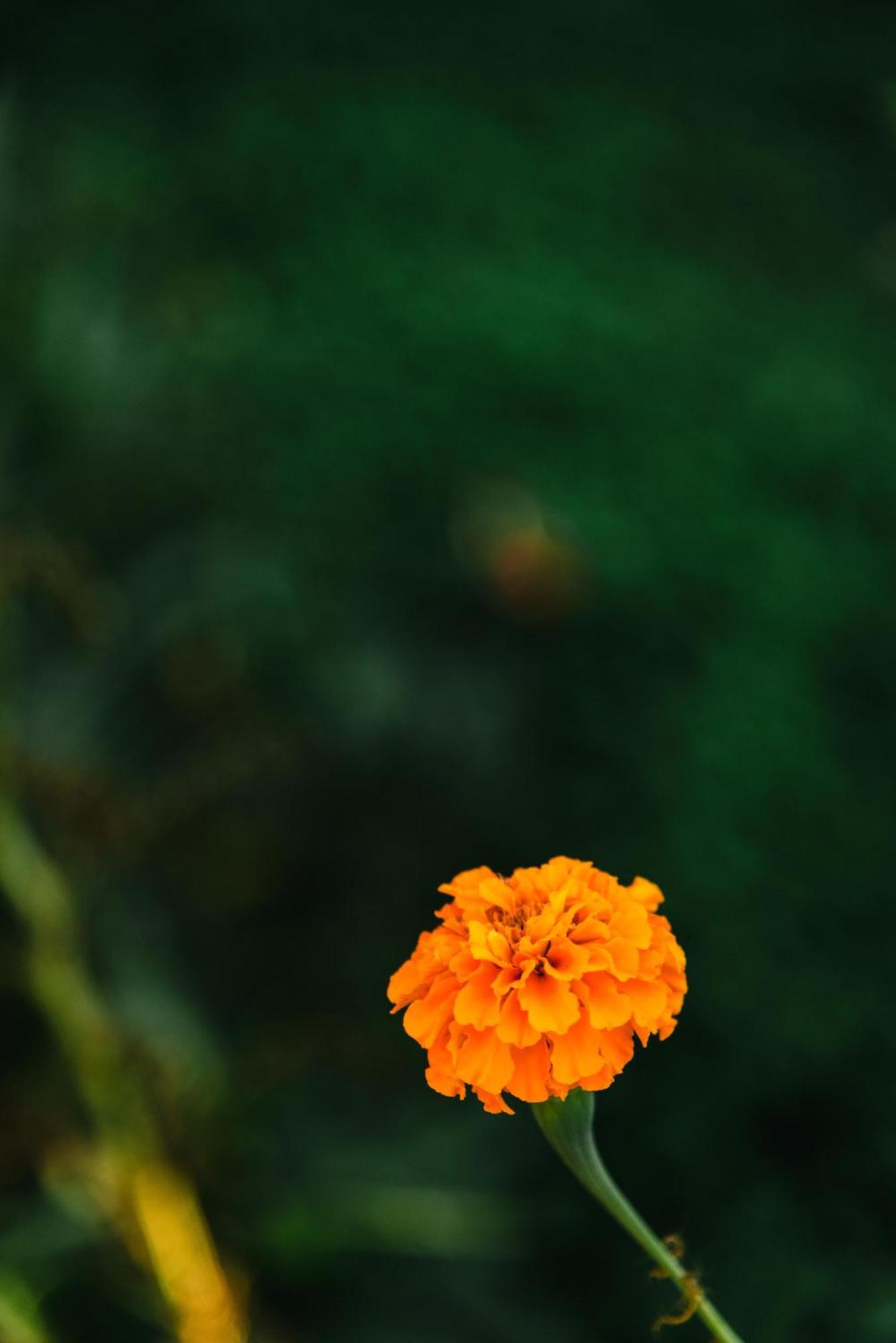 Dada'S Cottage Argyrades ภายนอก รูปภาพ